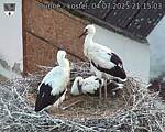 Capi_Dubne_20250704_211503.jpg