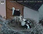 Capi_Dubne_20250704_213002.jpg