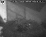 Capi_Dubne_20250704_223002.jpg