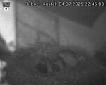 Capi_Dubne_20250704_224503.jpg