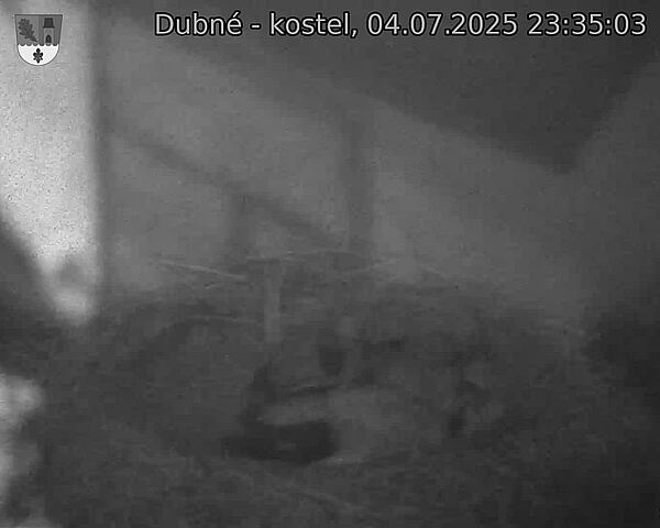 Capi_Dubne_20250704_233503.jpg (1350 x 1080)