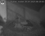 Capi_Dubne_20250705_002003.jpg