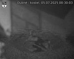 Capi_Dubne_20250705_003003.jpg