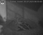Capi_Dubne_20250705_005503.jpg