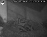 Capi_Dubne_20250705_010003.jpg