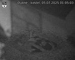 Capi_Dubne_20250705_010503.jpg