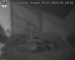 Capi_Dubne_20250705_012002.jpg