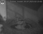 Capi_Dubne_20250705_021502.jpg