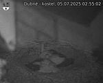 Capi_Dubne_20250705_025502.jpg