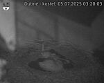Capi_Dubne_20250705_032003.jpg