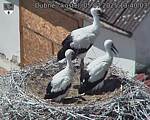 Capi_Dubne_20250705_134003.jpg
