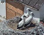 Capi_Dubne_20250705_135503.jpg