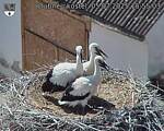 Capi_Dubne_20250705_155503.jpg