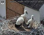 Capi_Dubne_20250705_172003.jpg