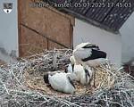 Capi_Dubne_20250705_174503.jpg