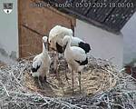 Capi_Dubne_20250705_180003.jpg
