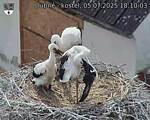 Capi_Dubne_20250705_181003.jpg
