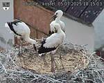 Capi_Dubne_20250705_181503.jpg
