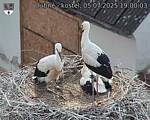 Capi_Dubne_20250705_190003.jpg