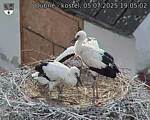 Capi_Dubne_20250705_190502.jpg