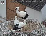 Capi_Dubne_20250705_192503.jpg