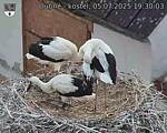 Capi_Dubne_20250705_193003.jpg