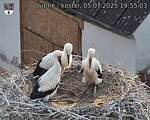 Capi_Dubne_20250705_195503.jpg