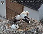Capi_Dubne_20250705_201503.jpg