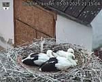 Capi_Dubne_20250705_211504.jpg