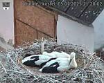 Capi_Dubne_20250705_212002.jpg