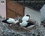 Capi_Dubne_20250705_212503.jpg