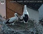 Capi_Dubne_20250705_213002.jpg