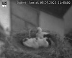 Capi_Dubne_20250705_214502.jpg