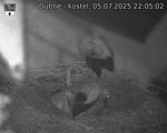 Capi_Dubne_20250705_220502.jpg