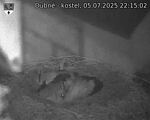 Capi_Dubne_20250705_221502.jpg