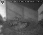 Capi_Dubne_20250705_222003.jpg