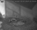 Capi_Dubne_20250705_223503.jpg