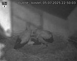 Capi_Dubne_20250705_225003.jpg