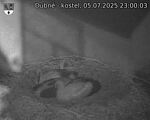 Capi_Dubne_20250705_230003.jpg