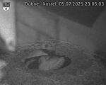 Capi_Dubne_20250705_230503.jpg