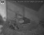 Capi_Dubne_20250705_231503.jpg