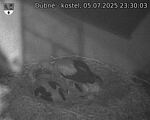 Capi_Dubne_20250705_233003.jpg