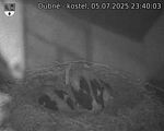 Capi_Dubne_20250705_234003.jpg