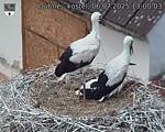 Capi_Dubne_20250706_130003.jpg