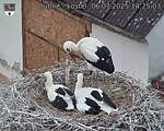 Capi_Dubne_20250706_142503.jpg
