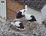 Capi_Dubne_20250706_144003.jpg