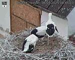 Capi_Dubne_20250706_144503.jpg