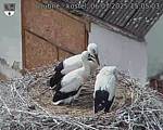 Capi_Dubne_20250706_150503.jpg