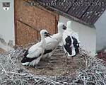 Capi_Dubne_20250706_152003.jpg