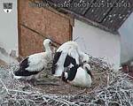 Capi_Dubne_20250706_153003.jpg